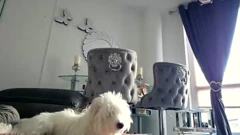 Snapshot of franciscomalin chatting on 29, 7, 2026 franciscomalin online show from 29, 7, 2026