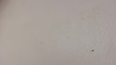 Snapshot of freaky_luna chatting on 22, 5, 2026 luna online show from 22, 5, 2026