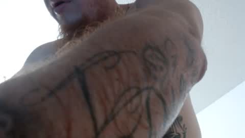 Snapshot of freakyfreddie305 chatting on 16, 12, 2024 freakyfreddie305 online show from 16, 12, 2024