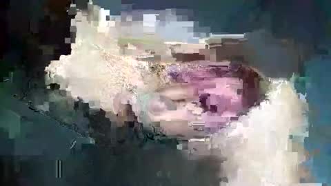 fredddy05 online show from 25, 11, 2025