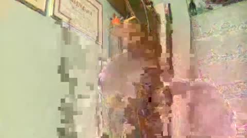 freddy3399 online show from 17, 12, 2024