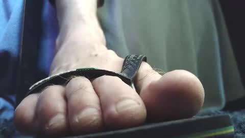 Greedy Fred online show from 5, 2, 2026