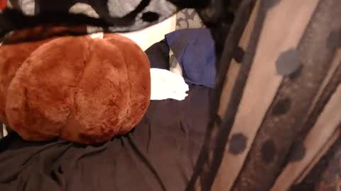 free4haul online show from 15, 9, 2025