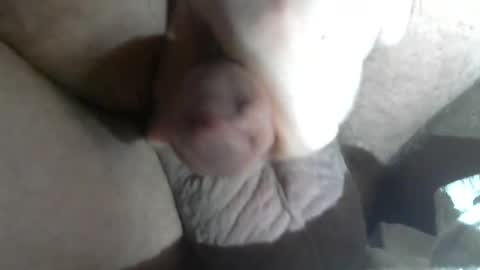 Call me Daddy online show from 5, 2, 2025