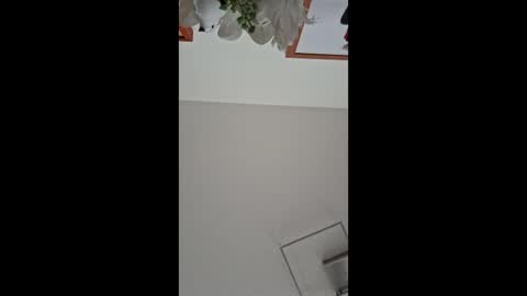 Walter Fischer online show from 23, 11, 2025