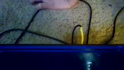 fresno559verga online show from 17, 12, 2025