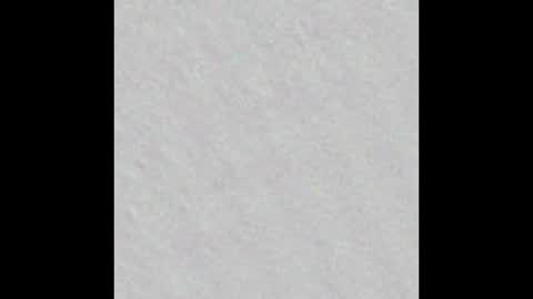 Snapshot of freya_stonee chatting on 28, 1, 2025 Freya online show from 28, 1, 2025