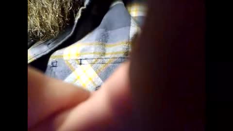 Frickish online show from 5, 2, 2025