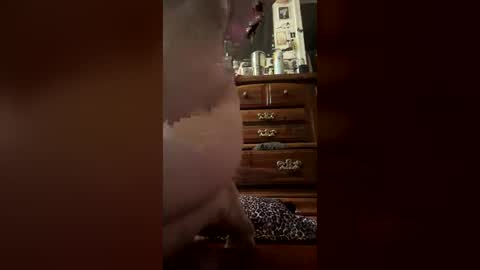 fuckingmyart online show from 29, 6, 2026