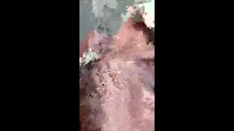 fukitol73 online show from 19, 4, 2026