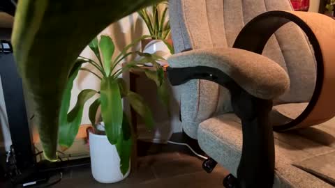 fuklicious online show from 19, 1, 2025