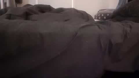 Pizzaz online show from 8, 12, 2024