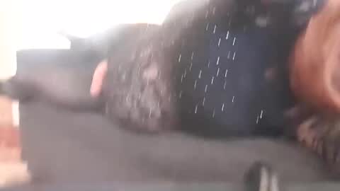 Pizzaz online show from 29, 12, 2024