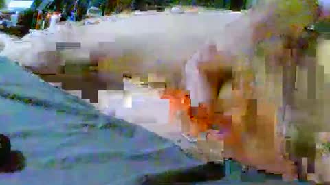 fultonstreet196860 online show from 5, 2, 2026