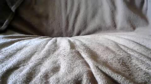 Snapshot of funguy4558 chatting on 24, 2, 2025 BigLoadsJoe online show from 24, 2, 2025