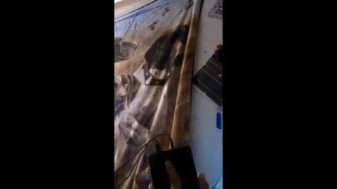 funinbed607918 online show from 25, 4, 2026