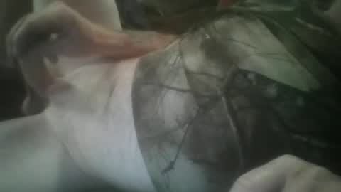 funthum19 online show from 25, 11, 2025