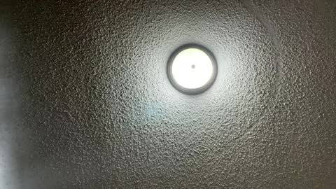 Snapshot of furburgermuncher89 chatting on 22, 2, 2025 furburgermuncher89 online show from 22, 2, 2025