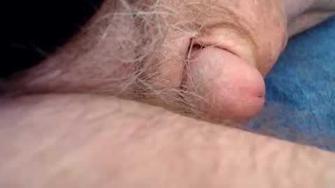 Mark online show from 1, 12, 2025