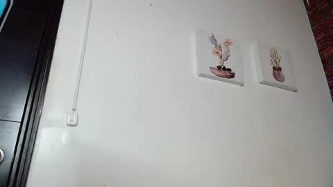 FIRE AND FOX online show from 4, 3, 2025