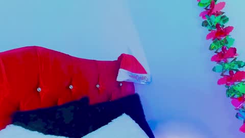 Snapshot of gabrielam_ms chatting on 10, 12, 2024 Gabriela Evans MS online show from 10, 12, 2024