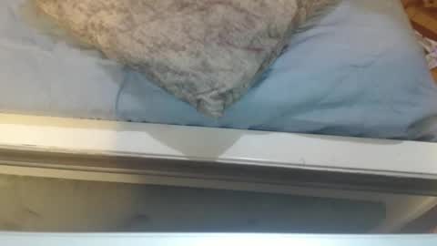 gabysot online show from 8, 4, 2026