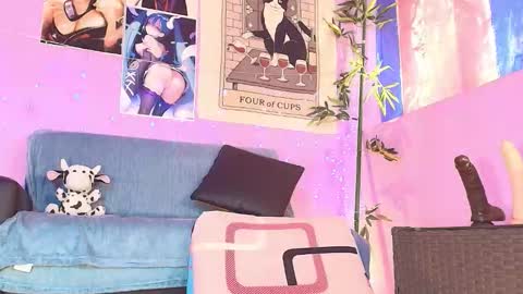 Gaia online show from 5, 11, 2025