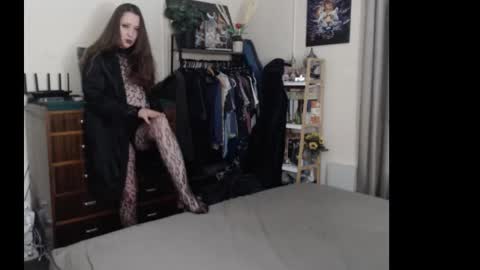 HOT  online show from 8, 11, 2025