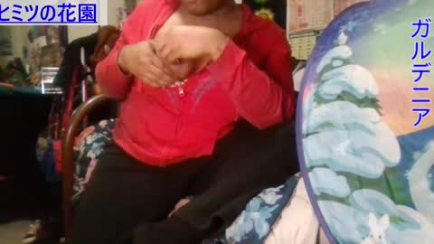 Gardenia online show from 10, 12, 2024