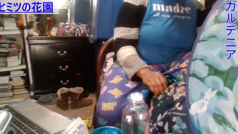 Gardenia online show from 24, 12, 2024