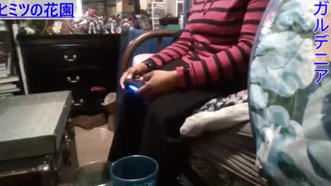 Gardenia online show from 29, 12, 2024