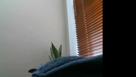 Lisa online show from 27, 12, 2024