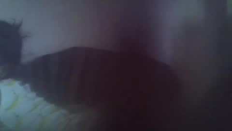 Snapshot of gasielah chatting on 27, 1, 2025 gasielah online show from 27, 1, 2025