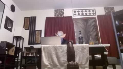 gatewaylaptop2019 online show from 2, 4, 2026