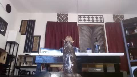 gatewaylaptop2019 online show from 9, 4, 2026