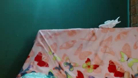 estrella online show from 10, 11, 2025