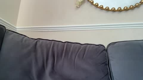 Snapshot of gemmaxox1 chatting on 24, 6, 2026 gemmaxox1 online show from 24, 6, 2026