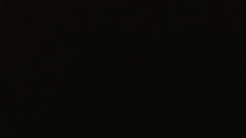 genitalwars online show from 22, 12, 2025