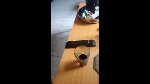 Snapshot of gergokertesz chatting on 24, 12, 2024 gergokertesz online show from 24, 12, 2024