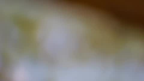 germanandy71 online show from 20, 11, 2025