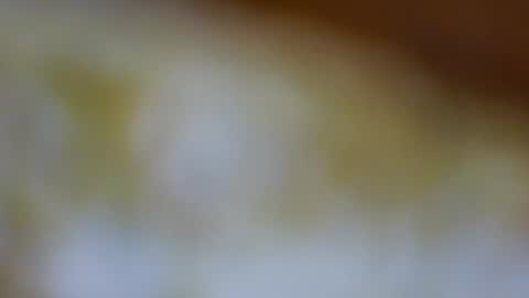 germanandy71 online show from 23, 11, 2025