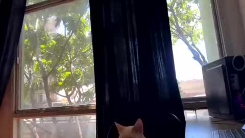 gerson229 online show from 23, 10, 2025