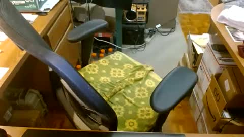 gfhdhr2 online show from 30, 3, 2026