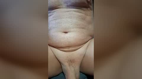 ghbready online show from 30, 7, 2026