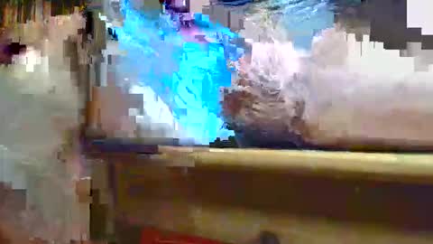 Ptite bite online show from 1, 11, 2025