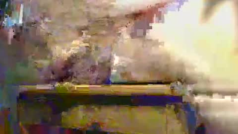 Ptite bite online show from 1, 12, 2025