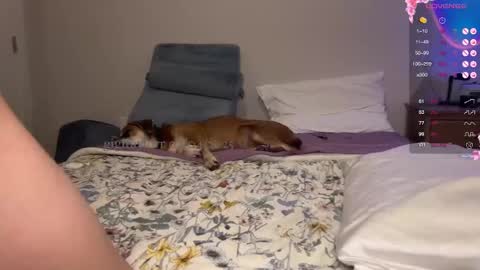 gigi online show from 5, 2, 2025