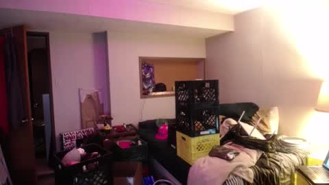 ginger_binj online show from 8, 10, 2025