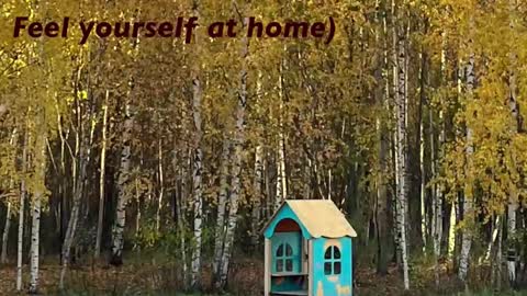 Kristin  online show from 22, 2, 2026