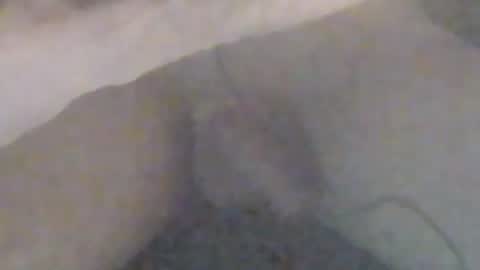 lovegirlscallme online show from 12, 1, 2026